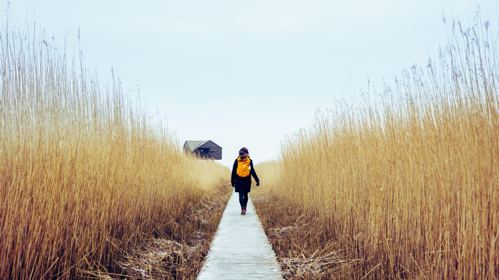 Vrouw aan het wandelen in de natuur