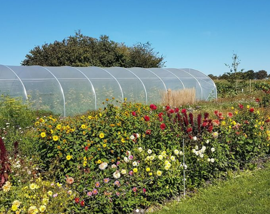 Pluktuin van tuinderij het groeipunt