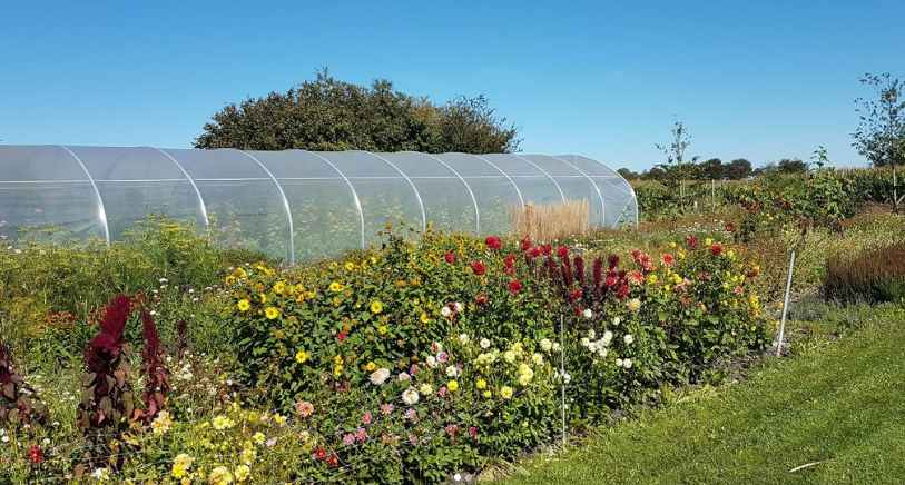 Pluktuin van tuinderij het groeipunt